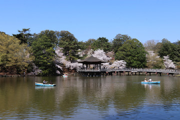 Fototapeta na wymiar Lake in Japan with boats, traditional pavillon and cherry blossom