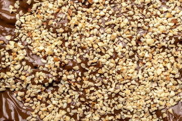 Chocolate cream with chopped hazelnut