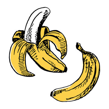 Bananas sketch_ Fast food