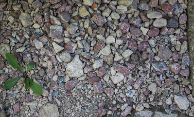 Crushed stone and multi-colored stones close-up element for the designer. Background like texture. Green grass breaks through the stones