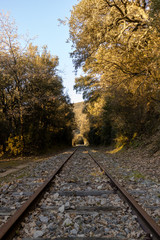 Fototapeta premium Abandoned railroad