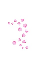 A bunch of petals watercolour