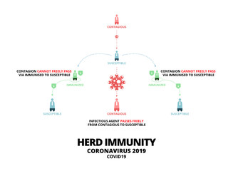 People with Herd immunity Coronavirus (COVID-19) infographic. Concept of herd immunity or a group of people who are infected with the infected person as a virus spread in society. Vector illustration.