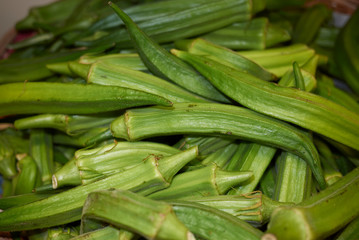 fresh okra