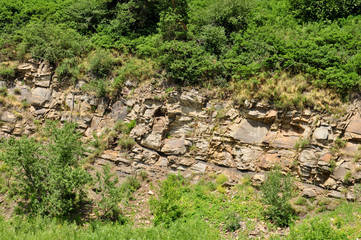 Obraz premium green grass on the rock