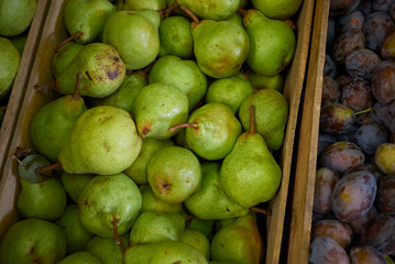 fresh plums and pears