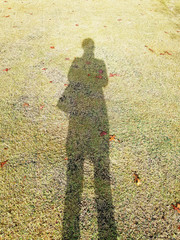 shadow