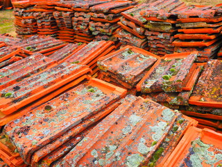 Tejas de barro con musgo y liquen amontonadas en el campo.