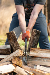 Strong guy in orange work gloves chopping the wood - a log has been cutting down and saw dust is still in the air