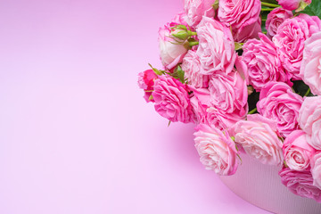 Obraz na płótnie Canvas Bushy pink roses on a delicate pink background.
