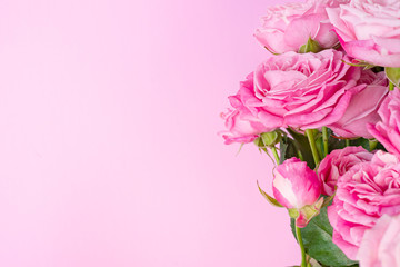 Bushy pink roses on a delicate pink background.