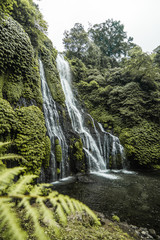 Vista de una gran cascada repleta de enredaderas y elechos en la jungla, en Bali, Indonesia.