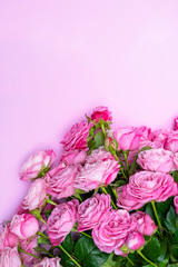 Bushy pink roses on a delicate pink background.