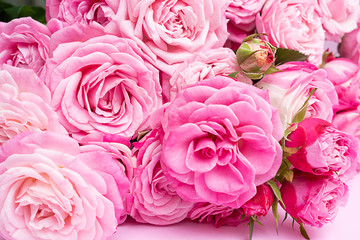Bushy pink roses on a delicate pink background.