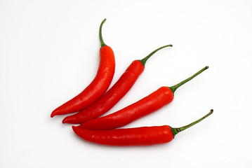red chili on a white background