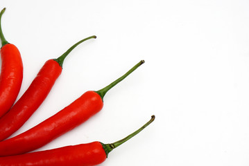 red chili on a white background