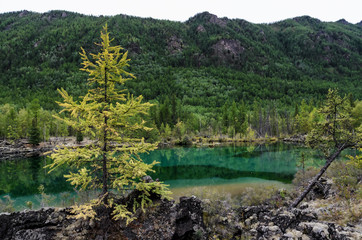 Fototapeta na wymiar Small forest lake with greenish water in the autumn forest, lava lake