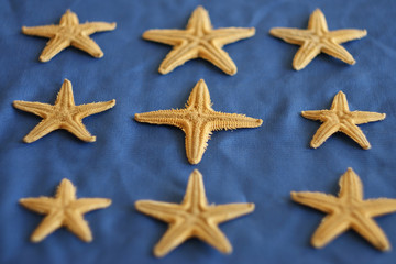 Fototapeta na wymiar an unusual four-pointed starfish looking like a cross among five-pointed starfish. Leadership, uniqueness, think different, teamwork business success. different concept