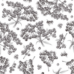Seamless pattern with elderberry branches. Ripe medicinal berries in a graphic style for wrapper, textile, scrapbooking paper, gift box, on a white background