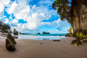 The magnificent Cathedral Cave