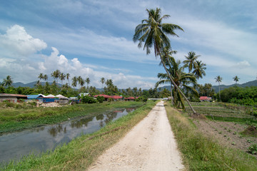 Fototapeta na wymiar Green scene at rural path at Balik Pulau, Penang.