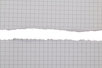 White blank paper isolate on white background