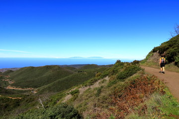 View from the summit of Garajonay on charred shrubs and trees, traces of the forest fire of 2012, on the horizon the island of La Palma, La Gomera, Canary Islands, Spain