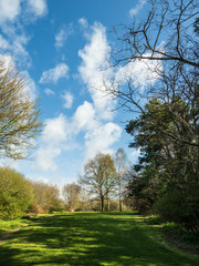 Obraz premium OLYMPUS DIGITAL CAMERA - SUN IN THE PRK