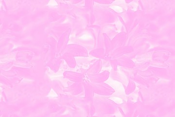 Seamless flowers pattern. Pink hyacinths flowers. Spring background, toned photo