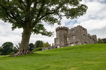 Fototapeta na wymiar The wide-angle landscape shot of ancient Balloch Castle and a tree in Scotland, UK which was built on a hill in an early 19th century