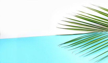 Palm leaf background with copy space. Background for writing travel text.