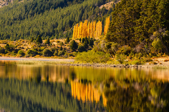 lac traful