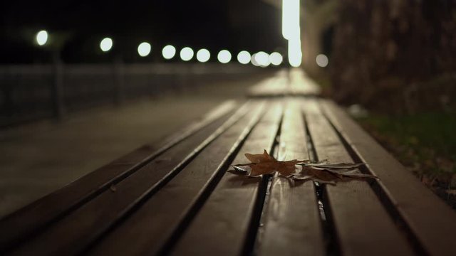 City river embankment lit by lanterns at night in autumn, fallen leaves on wooden bench shallow depth of field.