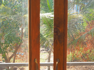 View through the balcony door to the green garden with palm trees during your vacation