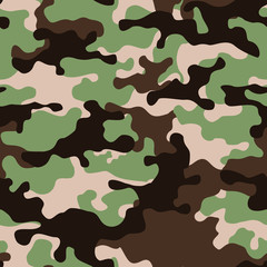 Seamless camouflage pattern. The print on the fabric. Modern vector design