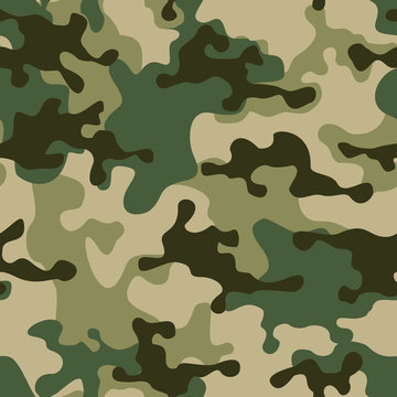 Seamless camouflage pattern. The print on the fabric. Modern vector design