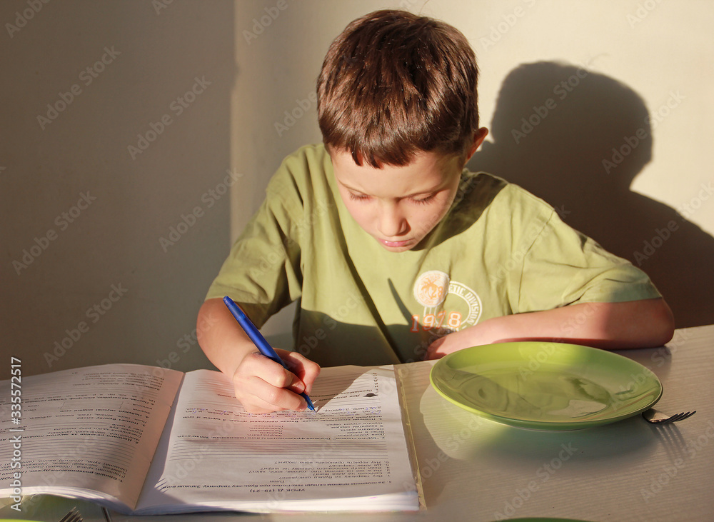 Wall mural boy writes homework in the kitchen, in front of