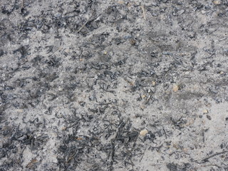 Texture: remains of wood after a fire