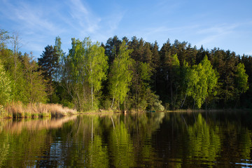 Fototapeta na wymiar beautiful summer landscape on a lake