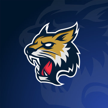 Bobcat-Lynx Wildcat Logo Mascot for sport team
