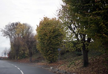 road in autumn
