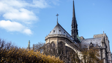 Fototapeta na wymiar Notre Dame of Paris before the fire