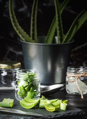 Aloe vera slices in a glass jar front view copy space