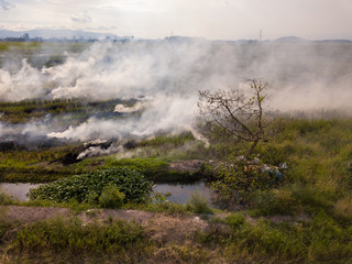 Open fire at paddy field.