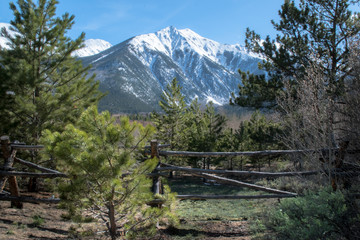 mountain landscape with  trees