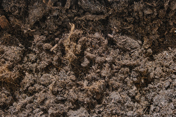 Peat, brown earth for background
