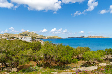 Fototapeta na wymiar Coast of Paros island. Blue sea water and spring trees in Naoussa village. Cyclades
