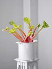 Bunch of rhubarb in the white pot