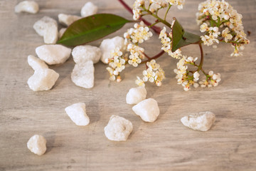 Pequeñas flores silvetres con piedras blancas, sobre fondo de madera