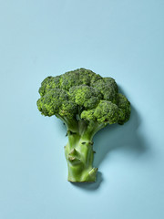 Graphic composition of broccoli
